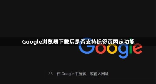 Google浏览器下载后是否支持标签页固定功能1