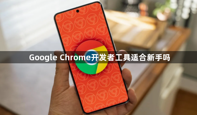 Google Chrome开发者工具适合新手吗1