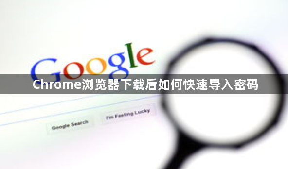 Chrome浏览器下载后如何快速导入密码1