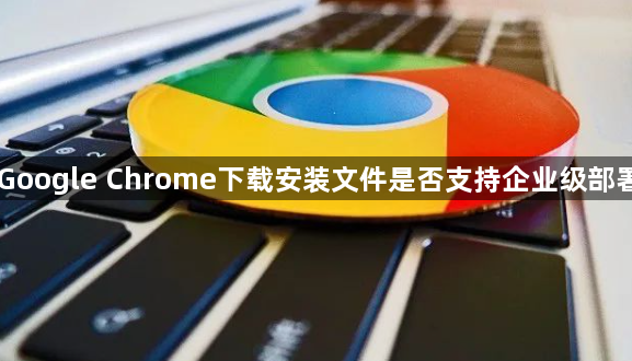 Google Chrome下载安装文件是否支持企业级部署1
