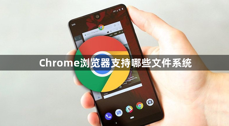 Chrome浏览器支持哪些文件系统1