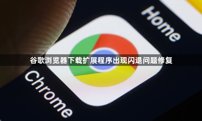 谷歌浏览器下载扩展程序出现闪退问题修复1