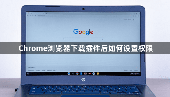 Chrome浏览器下载插件后如何设置权限1