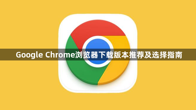 Google Chrome浏览器下载版本推荐及选择指南1
