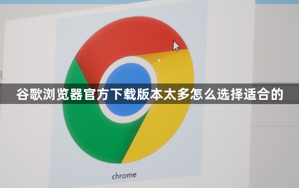 谷歌浏览器官方下载版本太多怎么选择适合的1