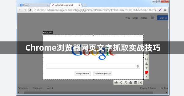 Chrome浏览器网页文字抓取实战技巧1