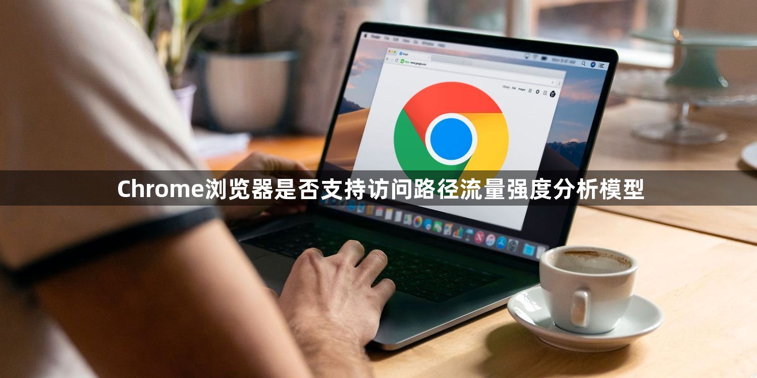 Chrome浏览器是否支持访问路径流量强度分析模型1