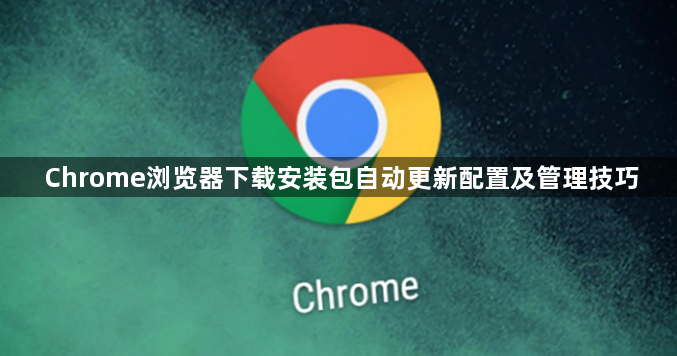 Chrome浏览器下载安装包自动更新配置及管理技巧1