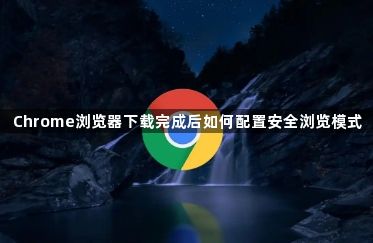 Chrome浏览器下载完成后如何配置安全浏览模式1