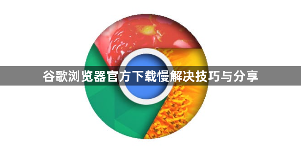 谷歌浏览器官方下载慢解决技巧与分享1