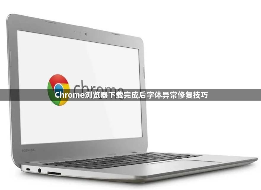 Chrome浏览器下载完成后字体异常修复技巧1