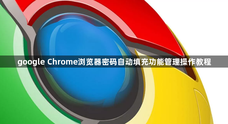 google Chrome浏览器密码自动填充功能管理操作教程1