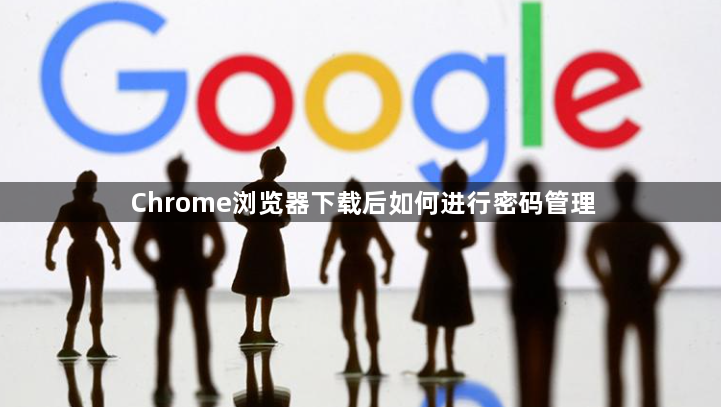 Chrome浏览器下载后如何进行密码管理1