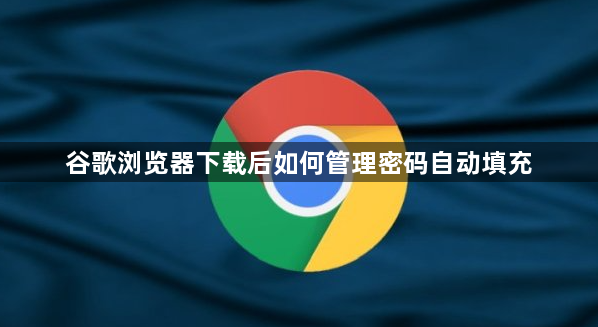 谷歌浏览器下载后如何管理密码自动填充1