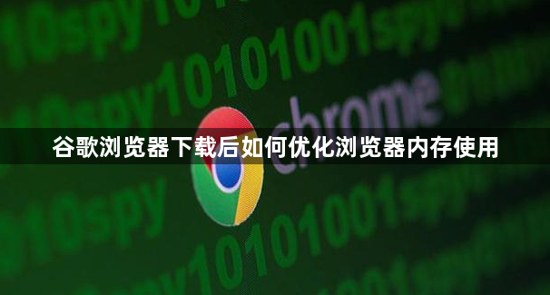 谷歌浏览器下载后如何优化浏览器内存使用1