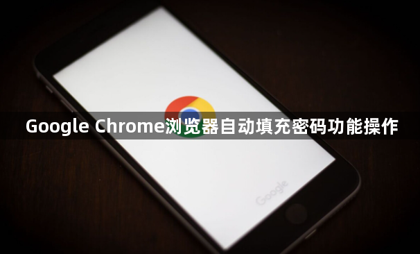 Google Chrome浏览器自动填充密码功能操作1