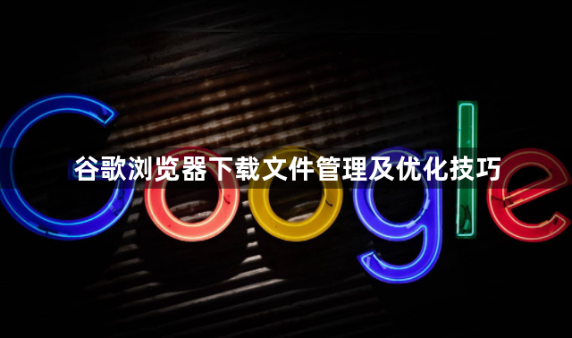 谷歌浏览器下载文件管理及优化技巧1