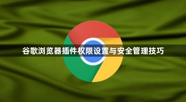 谷歌浏览器插件权限设置与安全管理技巧1
