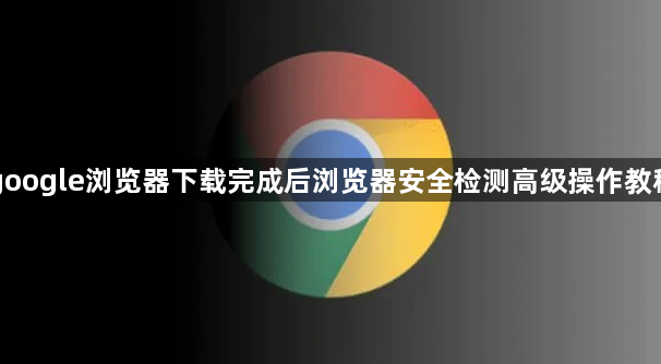 google浏览器下载完成后浏览器安全检测高级操作教程1