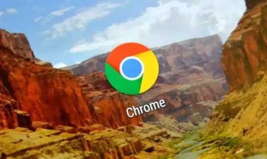 Chrome浏览器扩展权限控制优化实战经验