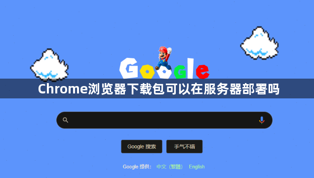 Chrome浏览器下载包可以在服务器部署吗1