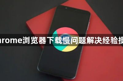 Chrome浏览器下载慢问题解决经验操作1