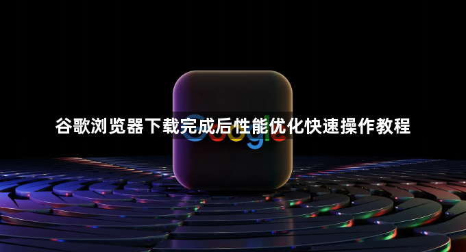 谷歌浏览器下载完成后性能优化快速操作教程1