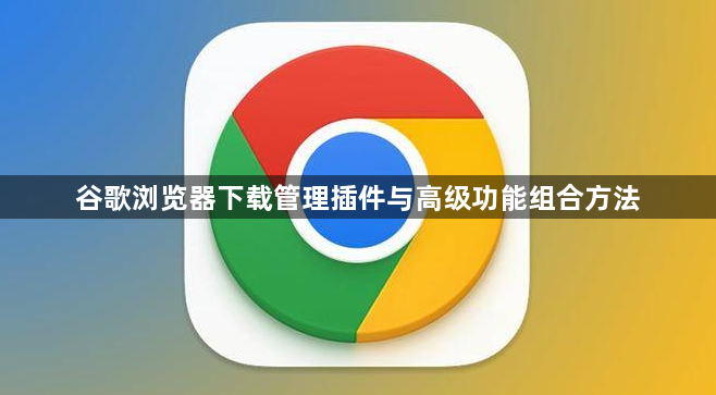 谷歌浏览器下载管理插件与高级功能组合方法1