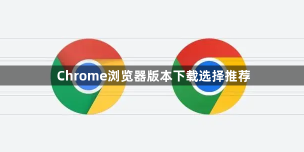 Chrome浏览器版本下载选择推荐1