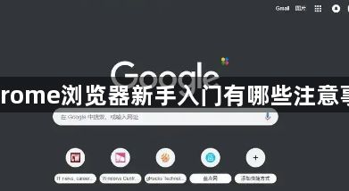 Chrome浏览器新手入门有哪些注意事项1