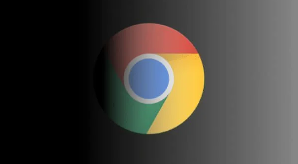 Chrome浏览器下载并设置隐私保护操作教程