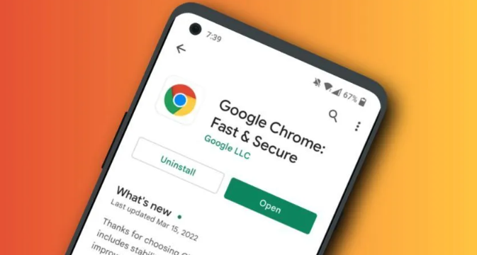 Chrome浏览器设置网页资源请求延迟策略提升网络稳定性好用吗